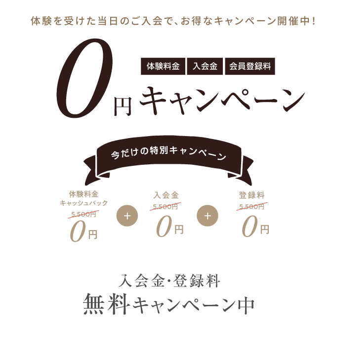 キャンペーンについて